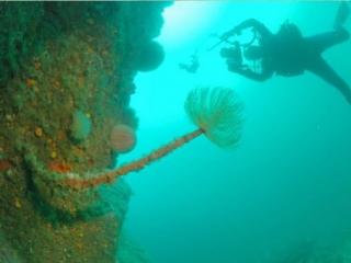  Willkommen bei CASCA Plongee 